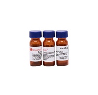 Inhibiteur de trypsine de haute qualité Solarbio CAS 9035-81-8 Poudre blanche pour réactif de laboratoire Recherche scientifique Matière première