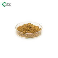 Extrait de plante alimentaire Bupleurum de qualité alimentaire, poudre liquide à base de plantes certifiée Halal pour recettes, compléments alimentaires à base de plantes, extrait végétal