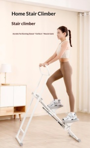 2026 Appareil de fitness multifonctionnel en métal pour la maison, simulateur d'escalade, stepper et simulateur de marche sur les marches - Product Image 2