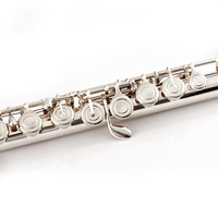 Chinese Good Student Woodwind Instrument Closed Hole Western Flute for Beginner OEM