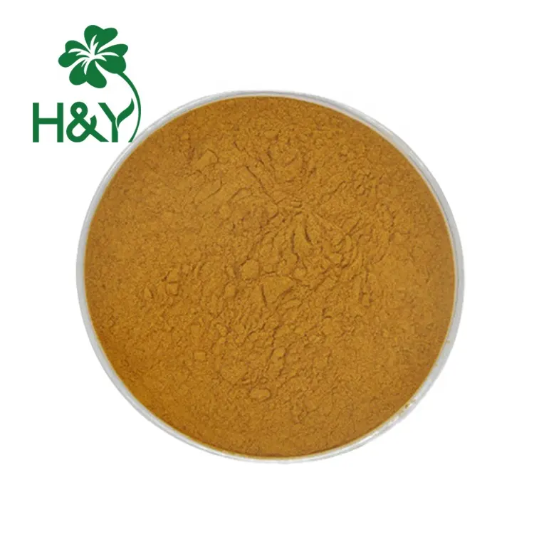 Chinese Angelica Extrat Dong Quai Extract Ligustilide Angelica Sinensis dong quai powder