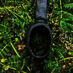 Custom OEM Gardening <strong>Pickaxe</strong> Farming Agriculture Industries Digging Tool with Wooden <strong>Handle</strong> - Product Image 5