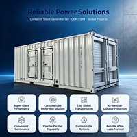 Générateur au gaz naturel de type silencieux à fonctionnement continu 1000 kW 1250 kVA, générateur au biogaz GPL 1 MW