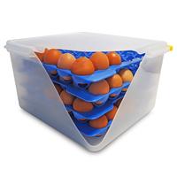 LxLxH 354x325x200mm Récipient plastique polypropylène PP en gastronorme dimension GN 2/3 boîte de transport d'oeufs