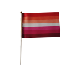 A buon mercato poliestere LGBTQ 14*21cm Omni sessuale omnisessuale pride mini hand stick Flag con palo