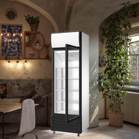 Vitrine de congélateur à porte unique commerciale 300L refroidisseur de barre mince/réfrigérateur magasin de verre d'affichage de gâteau de crème glacée à température unique
