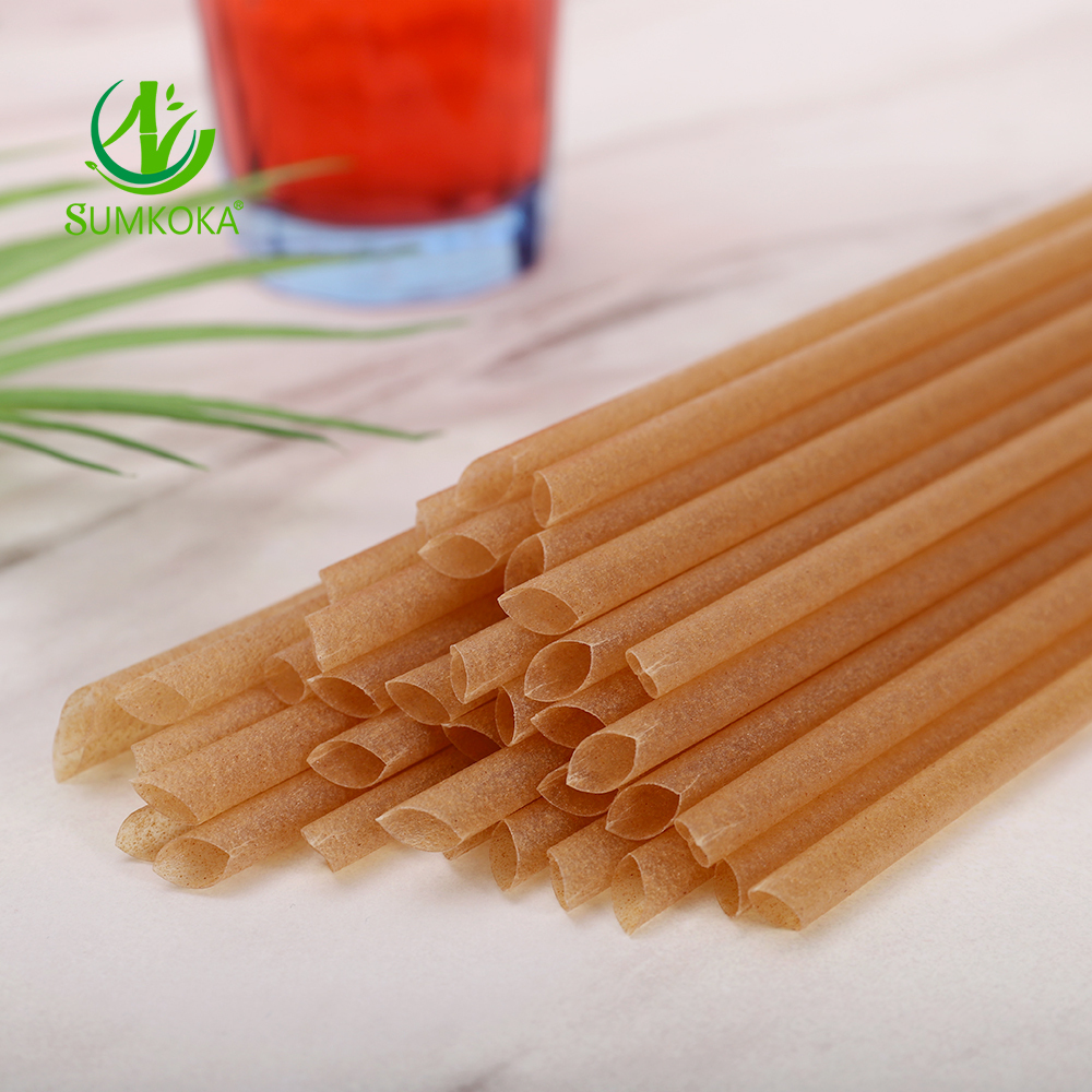 Eco Disposable Sugar Cane Straws - 100% Biodegradable