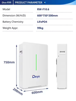 Batterie solaire Deye 10,64 kWh 51,2 V 208 Ah Deye RW-F10.6 Batterie murale Lifepo4 10 kWh Pack de batteries Lifepo4 Système solaire ESS