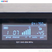 Système de microphone sans fil numérique professionnel QLXD24 100 canaux Beta58 portable