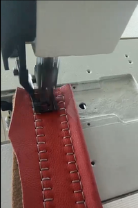 DS-868 New Type Special Electronic Pattern <b>Sewing</b> Machine - Product Image 4