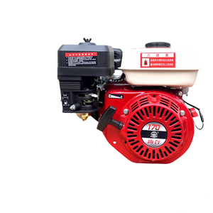 Motore a Benzina Portatile Euro 5 da 7,5 CV 196cc Monocilindrico a 4 Tempi Raffreddato ad Aria con Avviamento Elettrico - Product Image 2
