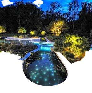 Luz LED para Piscina en Forma de Estrella de PMMA para Exteriores con Accesorios de Extremo 304 y Soportes Múltiples de Fibra Óptica - Product Image 6