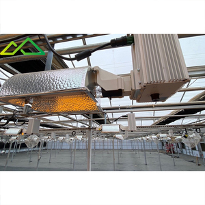 Invernadero con Sistema de Iluminación de Cultivo <span class=keywords><strong>HPS</strong></span>, Lámpara de Sodio de Alta Presión para el Cultivo Comercial de Plantas - Product Image 1