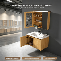 Meuble-lavabo mural pour salle de bain, armoire miroir avec charnières en acier inoxydable, unité de meuble-lavabo pour salle de bain, meuble sous-vasque.
