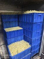 Máquina para Germinar Brotes de Frijol Shandong Kefa, Comercial, Sin Aditivos, para Agua Pura, Automática, con Alto Rendimiento