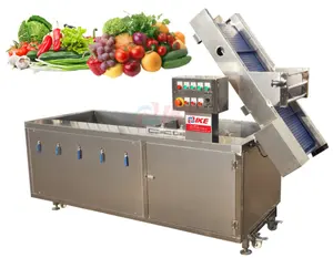 Ticari çok amaçlı sebze meyve temizleyici yıkama yapraklı sebze kavun temizleme yıkama makinesi
