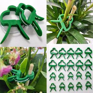 Serre en plastique jardin plante support clips branche <span class=keywords><strong>vigne</strong></span> titulaire Légumes Tomate Clip Greffage Clip - Product Image 4