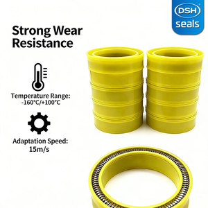 Petrol Sahası Yaylı Sızdırmazlık Contası, Sondaj Kulesi ve Çamur Pompası Yüksek Basınçlı UH-PE Dudak Contaları için PTFE/UHMW-PE Döner Mil Contası - Product Image 2