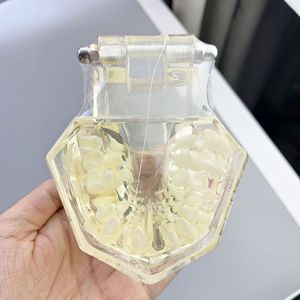 Modèle de restauration d'implant dentaire M2001, modèle de pathologie dentaire en silicone médical transparent pour exposition scientifique médicale - Product Image 3