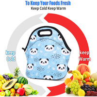 Sac à déjeuner isotherme en néoprène avec fermeture éclair, imperméable, pliable, portable, glacière à main pour pique-nique en extérieur, boîte à lunch pour étudiants