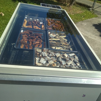 Sécheur solaire pour aliments pour poissons, sécheur industriel pour maïs, pommes de terre, céréales, machine de séchage