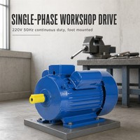 Motor Induksi AC Satu Fasa Seri BIOTE YL 2hp 3hp 5hp 7.5hp 10hp 220V 2P 2800rpm 50hz Gulungan Tembaga untuk Pompa Air
