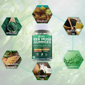 ODM/OEM Private Label Advanced con raíz de bardana para inmunidad Gut Energy Suplementos de musgo marino Irish Sea Moss Gummy - Product Image 2