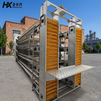Système de cages automatiques pour élevage de volailles à vendre – Équipement pour poules pondeuses