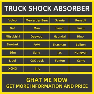 OEM 9428900219 9428906019 9438903919 Heavy Duty Truck Cab Hecks toß dämpfer für <span class=keywords><strong>Merceses</strong></span> benz Actros - Product Image 5