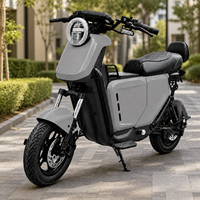 Motocicleta Eléctrica de Largo Alcance para Adultos, Motor de 1200W, Ruedas de 14 Pulgadas, Velocidad Máxima de 55 km/h, Autonomía de hasta 140 km