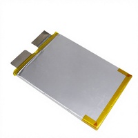 Baterai Lithium-Ion LiFePO4 Soft-Pack 32V 50A untuk Kendaraan Listrik