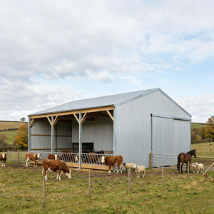 Modern Designed Prefabricated Light <strong>Steel</strong> Frame Dairy Farm Barn Farmhouse Pig Cow Chicken House Farming <strong>Steel</strong> <strong>Structure</strong> Shed - Product Image 4