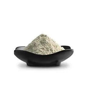 Ngành công nghiệp cấp siêu mịn sửa đổi Hữu Cơ Bentonite giá tốt nhất Sealant/Sơn/Mực Bentonite Bột Đất Sét