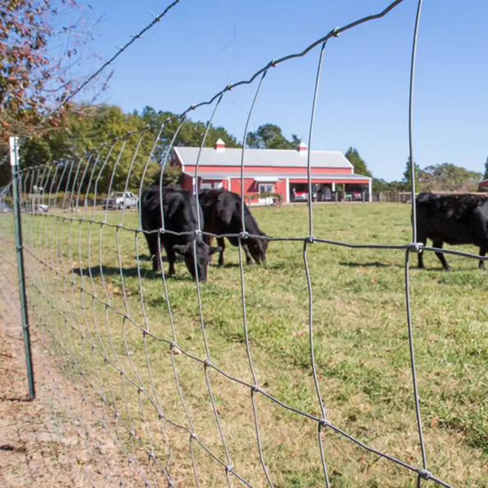 Leadwalking Cerca de campo barata para fazendas em aço personalizado Fabricantes China Cerca de gado barata padrão robusta e precisa