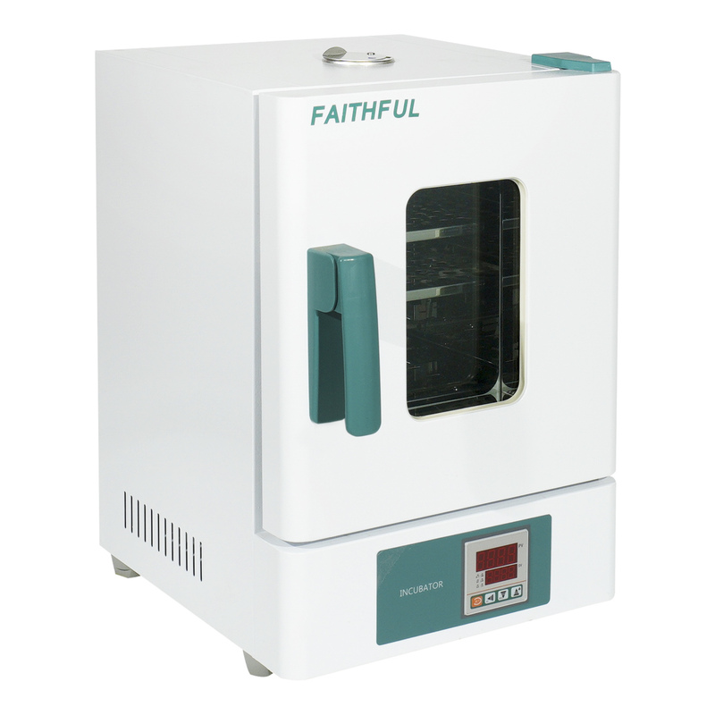 Lab Desktop Thermostatic Constant Temperature Drying