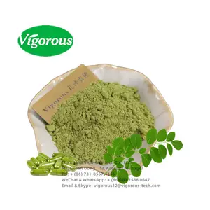 Campione gratuito polvere di foglie di Moringa organica naturale pura per alimenti salutari
