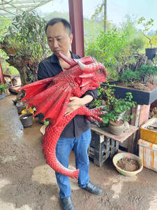 Marionetta a Mano di Dinosauro Animatronico in Gomma di Alta Qualità Nanchi, Realistica e Portatile con Movimento per Eventi - Product Image 5