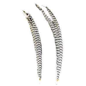 <span class=keywords><strong>Plumas</strong></span> <span class=keywords><strong>de</strong></span> Faisán Zebra Teñidas Largas al por Mayor para <span class=keywords><strong>Carnaval</strong></span> - Product Image 2