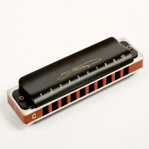 Vendita calda Blues strumento musicale a 10 fori armonica per principianti - Product Image 2