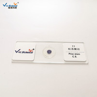 100pcs Glass Plant Tissue Prepared Microscope Slides Botany Specimen Lab Tool for Biology Teaching & Experiment