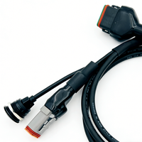 Câble de diagnostic robuste sur mesure avec connecteur multi-contacts vers deux connecteurs D-Sub