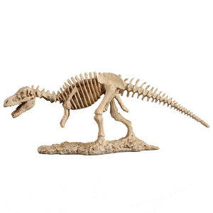 Modèle de squelette fossile de Tyrannosaurus Rex en résine, squelette de dinosaure, décoration éducative, style nordique moderne, rétro blanc - Product Image 5