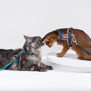 Conjunto de correa de arnés de gato <span class=keywords><strong>Bobo</strong></span>, suministros para mascotas Estilo Chaleco de moda, botón de nailon acolchado con patrón sólido, cómodo para tu gato - Product Image 5