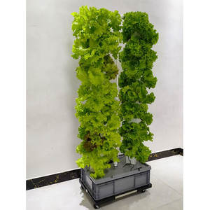 Système de clonage en recirculation AGG, système de culture hydroponique en tour, pompe, 36 trous, jardin vertical, éclairage pour serre agricole - Product Image 1