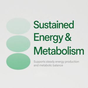 Gouttes de liquide liposomal NAD + 60ML OEM Private Label Supplément pour la santé et le corps Gouttes de liquide respectueuses des végétaliens - Product Image 4