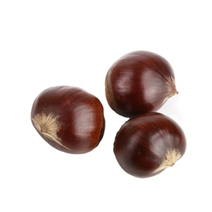 Châtaignes Biologiques Séchées, Produit Phare, Traitement Brut, Vente en Gros Chine, Exportation Alimentaire - Product Image 2