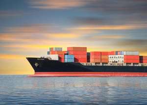 전문 특급 방문화물 운송 서비스 UPS DHL LCL FCL 중국에서 인도까지 오만 필리핀 토론토 - Product Image 4