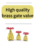 Haute qualité en laiton 1/2 NPT filetage vanne OEM personnalisable industriel eau gazole manuel Pipeline pris en charge l'inventaire ponctuel