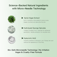 Poudre de micro-aiguilles d'éponge de spiruline à l'acide hyaluronique naturel, pour réduire les cicatrices d'acné, minimiser les pores, rajeunir la peau, éclaircir le visage, peeling
