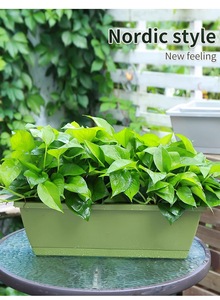 Vente en gros de jardinière en plastique design moderne <span class=keywords><strong>pour</strong></span> intérieur et extérieur PP écologique <span class=keywords><strong>pour</strong></span> la plantation de fruits et légumes à fleurs - Product Image 5